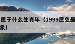 99年属于什么生肖年（1999属兔最佳结婚对象）