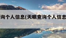 天眼查询个人信息(天眼查询个人信息安全吗)