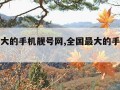 全国最大的手机靓号网,全国最大的手机靓号网站