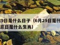 6月29日是什么日子（6月29日是什么日子月忌日是什么生肖）