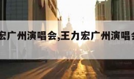 王力宏广州演唱会,王力宏广州演唱会2023年