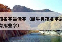 属牛男孩名字最佳字（属牛男孩名字最佳字水字旁的有那些字）