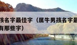 属牛男孩名字最佳字（属牛男孩名字最佳字水字旁的有那些字）