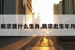 戴宗属什么生肖,戴宗出生年月