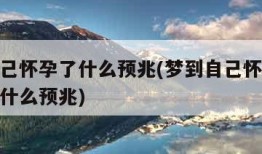 梦到自己怀孕了什么预兆(梦到自己怀孕了还有胎动什么预兆)