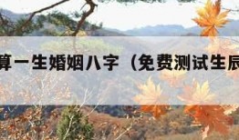 免费测算一生婚姻八字（免费测试生辰八字算婚姻）