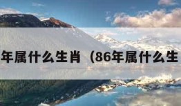 84年属什么生肖（86年属什么生肖）