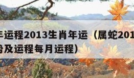 蛇年运程2013生肖年运（属蛇2013年运势及运程每月运程）