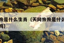 天网恢恢是什么生肖（天网恢恢是什么生肖为什么是鸡）