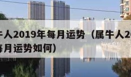 属牛人2019年每月运势（属牛人2019年每月运势如何）