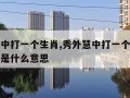 秀外慧中打一个生肖,秀外慧中打一个生肖秀外慧中是什么意思