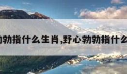 野心勃勃指什么生肖,野心勃勃指什么生肖?