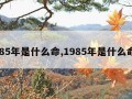 1985年是什么命,1985年是什么命年