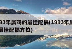 1993年属鸡的最佳配偶(1993年属鸡的最佳配偶方位)