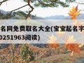 宝宝起名网免费取名大全(宝宝起名字大全免费2020251963阅读)