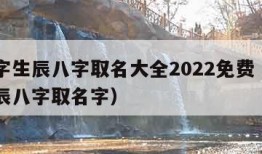 起名字生辰八字取名大全2022免费（起名网生辰八字取名字）