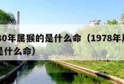 1980年属猴的是什么命（1978年属马的是什么命）