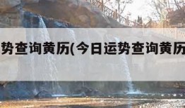 今日运势查询黄历(今日运势查询黄历龙生肖)