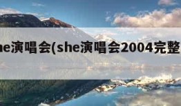 she演唱会(she演唱会2004完整版)