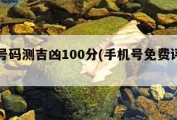 手机号码测吉凶100分(手机号免费评分查询)