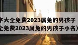 取名字大全免费2023属兔的男孩子（取名字大全免费2023属兔的男孩子小名）