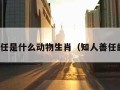 知人善任是什么动物生肖（知人善任的生肖）