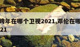 邓伦跨年在哪个卫视2021,邓伦在哪里跨年2021