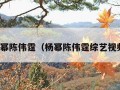 杨幂陈伟霆（杨幂陈伟霆综艺视频）