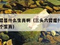 三头六臂是什么生肖啊（三头六臂是什么生肖啊猜一个生肖）