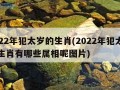 2022年犯太岁的生肖(2022年犯太岁的生肖有哪些属相呢图片)