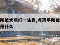 虎落平阳被犬欺打一生肖,虎落平阳被犬欺打一生肖是什么