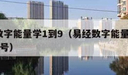 易经数字能量学1到9（易经数字能量学1到9手机号）