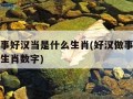 好汉做事好汉当是什么生肖(好汉做事好汉当是什么生肖数字)