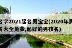 起名字2021起名男宝宝(2020年男孩起名大全免费,起好的男孩名)