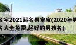 起名字2021起名男宝宝(2020年男孩起名大全免费,起好的男孩名)