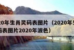 2020年生肖灵码表图片（2020年生肖灵码表图片2020年波色）