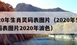 2020年生肖灵码表图片（2020年生肖灵码表图片2020年波色）