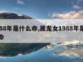 1988年是什么命,属龙女1988年是什么命