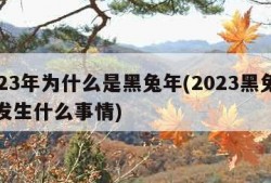 2023年为什么是黑兔年(2023黑兔年会发生什么事情)