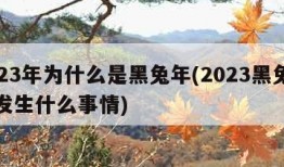 2023年为什么是黑兔年(2023黑兔年会发生什么事情)