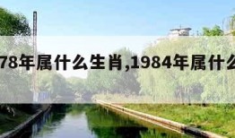 1978年属什么生肖,1984年属什么生肖