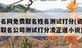 瓷都起名网免费取名姓名测试打分(瓷都起名网免费取名公司测试打分凌正道小说)