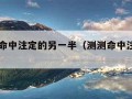 免费测命中注定的另一半（测测命中注定的另一半）