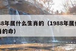 1988年属什么生肖的（1988年属什么生肖的命）