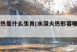 水深火热是什么生肖(水深火热形容哪个生肖)