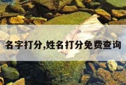 名字打分,姓名打分免费查询