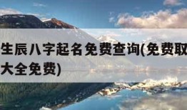 取名字生辰八字起名免费查询(免费取名字生辰八字大全免费)