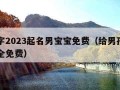 起名字2023起名男宝宝免费（给男孩起名字大全免费）