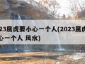 2023属虎要小心一个人(2023属虎要小心一个人 风水)