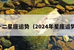 十二星座运势（2024年星座运势）